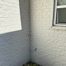 Bug-and-Cobweb-Removal-in-Oxford-MS 3